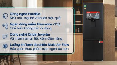 GR-RB405WEA-PMV - Tủ Lạnh Toshiba Inverter 321 Lít