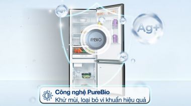 GR-RB405WEA-PMV - Tủ Lạnh Toshiba Inverter 321 Lít